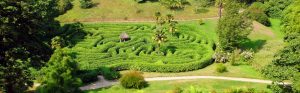 maze