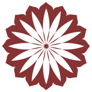 Somatic Counseling